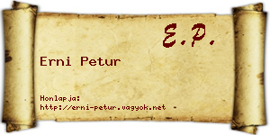 Erni Petur névjegykártya